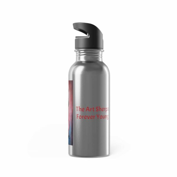 Stainless Steel Water Bottle With Straw, 20oz - Image 2